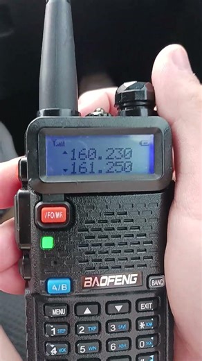 CSX detector BI 31.1