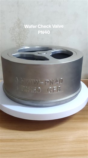 #checkvalve #stainlesssteel #manufacturing Wafer Check Valve PN40, Disc Check Valve 304 316 CF8 CF8M