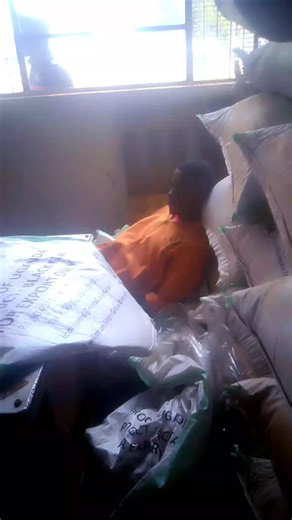 Brenda (@katusiimebren)’s videos with Clear - Rema Namakula