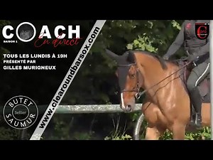 COACH EN DIRECT 2 exercices simples pour connecter le mental de votre cheval à vous.