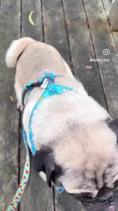 37K views · 4.3K reactions | Weighing in… 6.1kg lighter than 6 weeks...