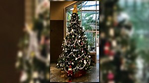 Well that's a pickle! German Christmas tree traditions explained