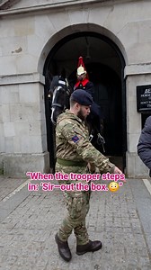 16K views · 211 reactions | Sir, Please step out of the box and fix the horse’s straps.’ ” #londonuktravelwalk #fblifestyle #LondonUK #KingsGuard #HorseGuards | London Uk Travel Walk | Facebook