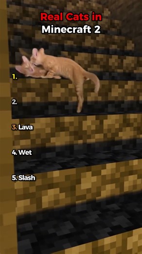 Real Cats in Minecraft 2 🐱⛏️