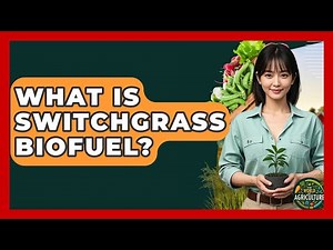What Is Switchgrass Biofuel? - The World of Agriculture