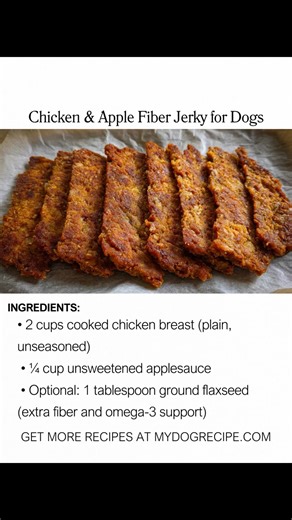 Homemade dog jerky, made with simple ingredients and baked low and slow. | Homemade Dog Food Recipes