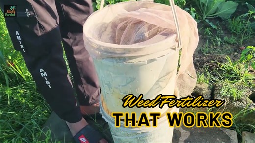 Transforming garden weeds into nutrient-rich liquid fertilizer