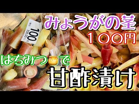 【みょうがの茎の甘酢漬け】格安！超簡単！黄金比で漬ける！やみつきはちみつ甘酢茗荷作り方😋サラダの彩りにも🥗ピクルス💕おつまみレシピ/作り方✨低カロリー低糖質むくみ予防に👌冷凍ＯＫ❣️