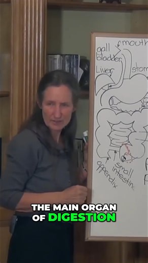 #21 Proteolytic Enzymes Vital for Pancreatic Health and Survival!  #BarbaraONeillWisdom  #NaturalHealingJourney  #HolisticHealthTips  #HealingWithNature  #BarbaraONeillTeachings  #NaturalRemediesThatWork  #SelfHealingThroughNature  #HerbalHealingPower  #WellnessWithBarbaraONeill  #BackToNaturalHealth | Kluver Nutrition | Facebook