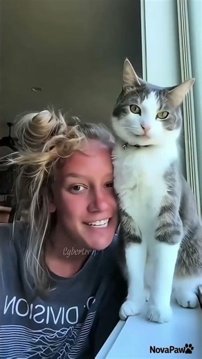 Cats Hurting Their Owners 😂 | Funny Cat Attack Compilation