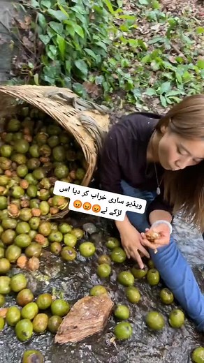 please tiktok team don't under review my video