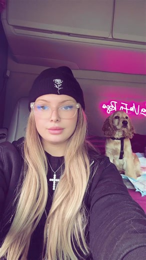 Le monde des cockers : un voyage avec un routier