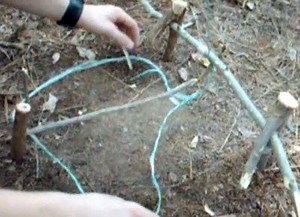 VIDEO: Build Your Own Spring Snare Trap - AllOutdoor.com