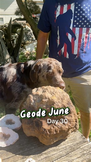 1.3K views · 32 reactions | Geode June Day 30! Final day for this series. Stay with me for more geode content always 﫶 #geodejune #geodeornodule #chopsaw #sledgehammer | RockHunter Mark | Facebook