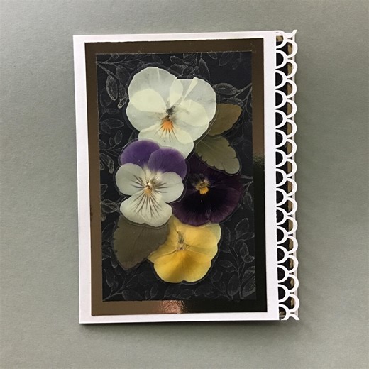 Pansy Blank Greeting Card, Real Pressed Pansies on Quality Cardstock, Embellished With Fancy Die Cutting and Hand Stamping, Lots of Pansies - Etsy