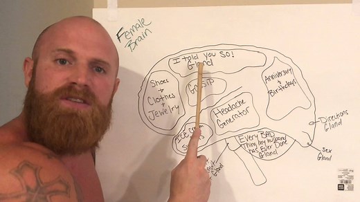 5.5M views · 52K reactions | Anatomy of a (married) female's brain. | Ginger Billy | Facebook