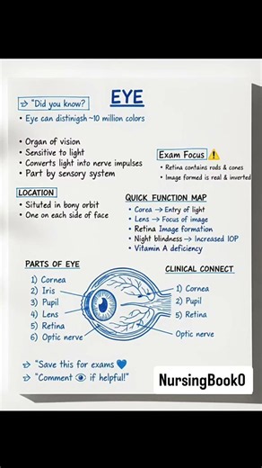 Human Eye Anatomy & Functions Explained | Eye Parts Made Easy | NursingBook0 #eyes #shorts #biology