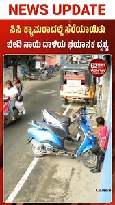 1.8M views · 9.4K reactions | Kid Attacked by Street Dogs | CCTV...