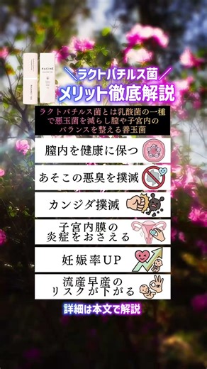 ＼ラクトバチルス菌とは／ #フェムケア