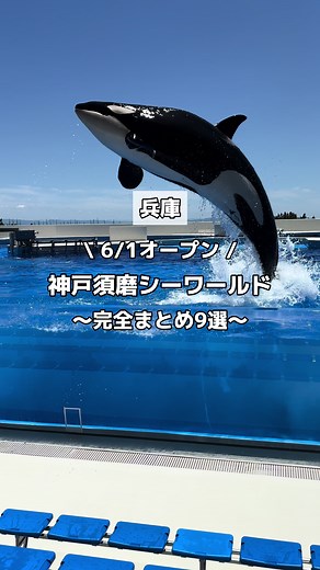 6/1オープン！神戸須磨シーワールド ♡ … * … ＊ … * … ♡ 今回は『神戸』の 『神戸須磨シーワールド最速おすすめ9選』をご紹介♡ ♡ … * … ＊ … * … ♡ 6/1オープンに先駆けて、 一足早く内覧会にお邪魔してきました✨ 前任のスマスイ（須磨海浜水族園）にはずっと幼少期から通い続けてた場所だからこそ、今回の内覧会は思い入れが強かった。動画の最後にはスマスイの面影を感じるシーンもあるから最後まで見てみてね！ ◼️神戸須磨シーワールド（スマシー）おすすめ9選 ①オルカスタディアム ②ドルフィンスタディアム ③ドルフィンビーチ（ドルフィンコミュニケーション）※別途2,000円 ④アクアライブ（シャチ、イルカ以外の展示） ⑤ブルーオーシャン（ブッフェレストラン） ⑥ワーフ ドルフィンスタディアム（フードコート） ⑦スーベニアショップ（オルカスタディアム） ⑧スマコレクション（※入場無料） ⑨神戸須磨シーワールドホテル ◾️施設情報 兵庫・神戸 神戸須磨シーワールド @kobe_sumasea 兵庫県神戸市須磨区若宮町1丁目3-5 JR須磨海浜公園駅下車徒歩5分 営業時間