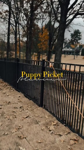 Another project wrapped and another backyard leveled up. We installed a sleek puppy-picket aluminum fence that gives this home a modern, upscale look with zero maintenance. No staining. No warping. No worries. It boosts curb appeal and long-term home value while keeping the little fur babies safe where they belong. Quality materials. Clean lines. Built to last. | First Fence