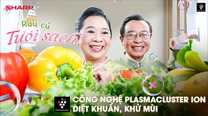 CÓ SHARP TRỮ TƯƠI ĐONG ĐẦY TIỆC TẾT! “Nghe vẻ nghe ve nghe vè Tết này, Nhà mình sum vầy nhờ Sharp trữ tươi!” Mùa Xuân Ất Tỵ sắp đến, gia đình mình sẽ chúc nhau những gì? Với gia đình có Sharp, mọi người chúc nhau vạn điều tươi lành khi cả nhà được tận hưởng những thực phẩm sạch khuẩn, lành mạnh qua các tính năng ưu việt từ tủ lạnh 4 cửa: 🥗 Vạn sự Tươi Lành - Rau củ Tươi Sạch, với công nghệ Plasmacluster ion chủ động diệt đến 99.9%(*) vi khuẩn, nấm mốc, đồng thời ngăn lẫn mùi chéo hiệu quả. 🐟 T