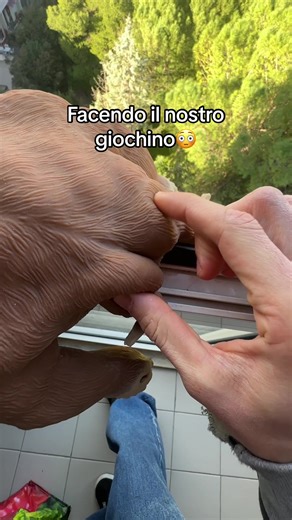 Doppio sound, but monkey doesnt’t wear any pants 👖 #mrmonkey #monkey #pants