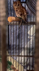 55 reactions | The results are in! From this mornings post if you...