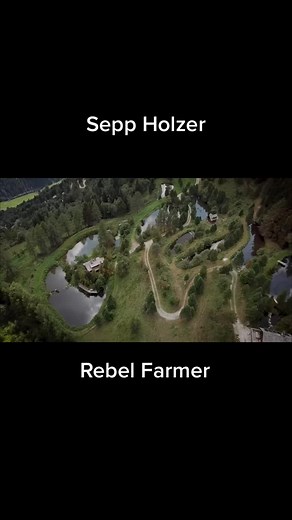 By mimicing natural patterns and learning to read landscapes, Sepp Holzer managed to grow crops like Cherries high up in the Austrian Alps where many thought it was inpossible l. #seppholzer #permaculture #regenerativeagriculture #foodnotlawns