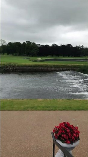 Adare Manor Hotel Ireland #travel #vlog #europe #solotravel #shorts #ireland