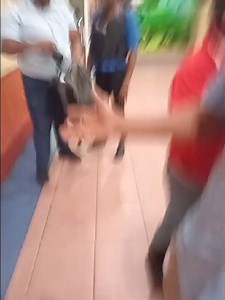 LEVY AT MOVIE TOWNE The Port of Spain Infrastructure Company (POSINCO) has exercised its right of re-entry and has taken possession of the premises leased to Trinidad and Tobago Commercial Development Company Limited (TCDC) also known as “the Movie Towne”. This re-entry exercise was undertaken as a consequence of breaches of the terms and conditions of the existing Deed of Lease between POSINCO and TCDC. POSINCO has been in discussions with TCDC for several years regarding the said breaches in a