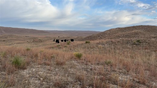 SANDHILLS | Scott Kuhn