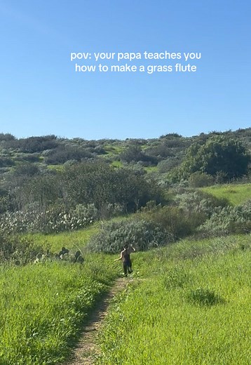 How to Make a Grass Flute: A Heartwarming Guide