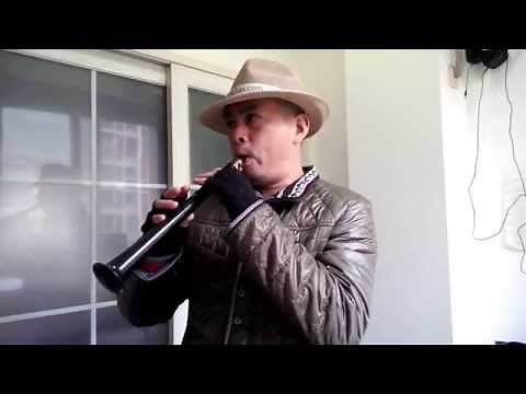 "Autumn Leaves" 11-Hole LittleSax/Pocket sax/Xaphoon/Mini Sax/Simple Mini Saxophone/Jazz《秋叶》