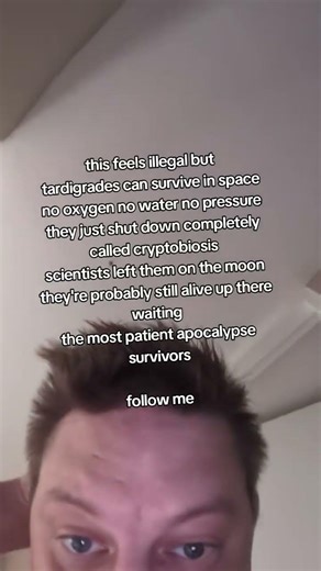 nasa accidentally colonized the moon with indestructible micro bears