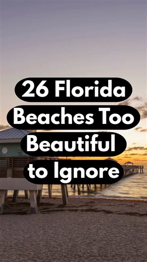 Best Florida Travel on Reels