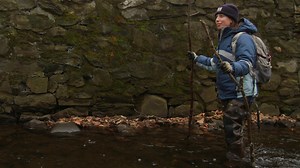 Building a Collection, Brick by Brick