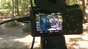 Everything You Need to Know About Anamorphic Lenses