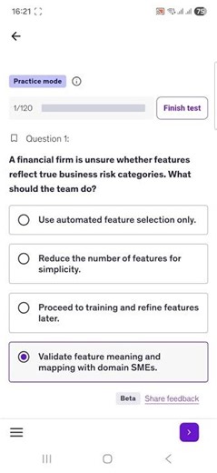 PMI-CPMAI Practice Q&A461