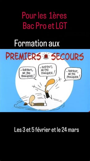 Lycée Jean-Baptiste Dumas on Instagram: "Dans le cadre du CESCE, toutes les 1 ères seront formées aux gestes de premiers secours et à la prévention des risques. Avec l'unité locale de la Croix-Rouge #premierssecours #croixrouge #cesce"
