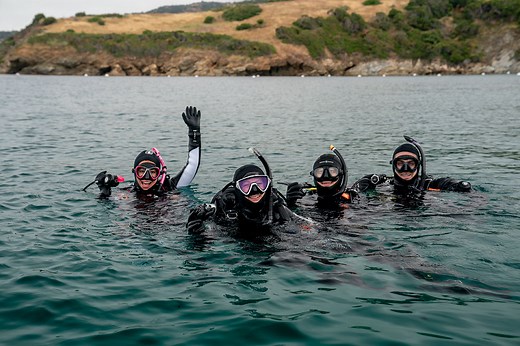 Where to Do Your PADI IDC in the USA