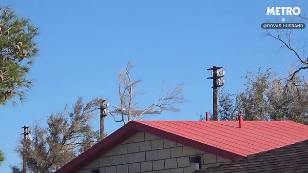 Residents shocked to see aircraft larger than football field soaring over Mojave Desert