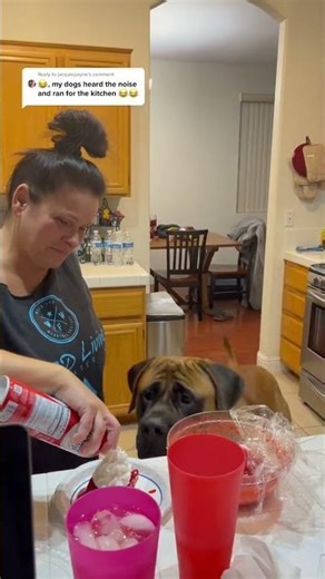 Bowserthemastiff88 #dogcoach #bowsersworld #puppy #cheesetax #dogsoftiktok #cutedog