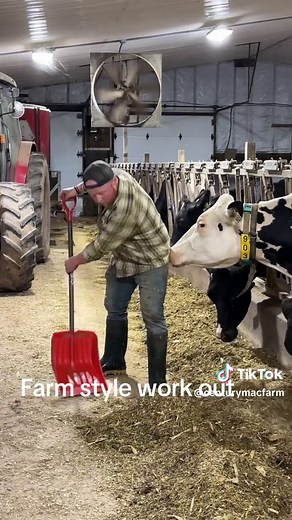 The Farmers Wife on TikTok