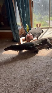 78K views · 2.7K reactions | Big lizard | The Legend Lizards | Facebook