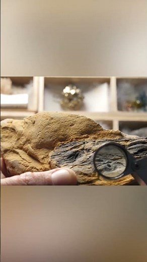 The Eruption of the Toba Supervolcano