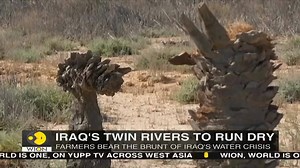 Watch | Iraq, land between two rivers, faces a water crisis As the country relies on neighbours Iran and Turkey to address the issue, a war on the water is on the cards This report decodes the developments | WION