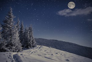 What If the Sun Disappeared for a Week?