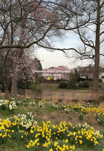 Top Spring Spots to Visit in New Jersey