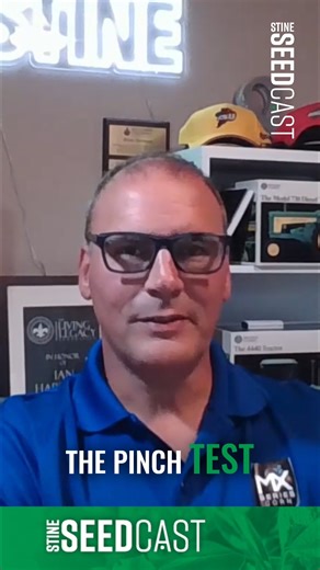 When southern rust starts to attack corn, it disrupts photosynthesis and decreases sunlight absorption, which can lead to premature plant death. Listen to episode 104 of the “Stine Seedcast” for Stine National Corn Product Manager Brian Hartman’s insight on how southern rust affects corn. https://bit.ly/42uOxyy | Stine Seed Company